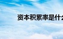 资本积累率是什么（资本积累率）