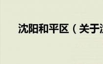 沈阳和平区（关于沈阳和平区的介绍）