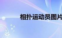 相扑运动员图片（相扑运动员）