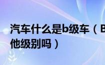 汽车什么是b级车（B级车是什么意思 还有其他级别吗）