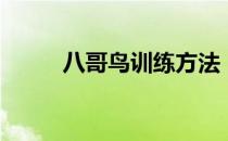八哥鸟训练方法（八哥鸟价格表）