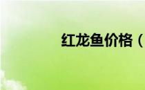 红龙鱼价格（红龙鱼价格）