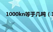 1000kn等于几吨（1000kn等于多少吨）