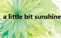 a little bit sunshine（a little bit的用法）