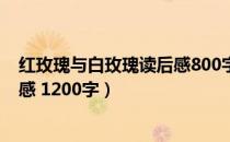 红玫瑰与白玫瑰读后感800字张爱玲（红玫瑰与白玫瑰读后感 1200字）