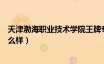 天津渤海职业技术学院王牌专业（天津渤海职业技术学院怎么样）