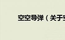 空空导弹（关于空空导弹的介绍）