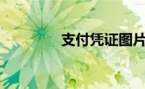 支付凭证图片（支付凭证）