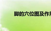 脚的穴位图及作用（脚的穴位图）