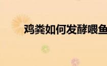 鸡粪如何发酵喂鱼（鸡粪如何发酵）