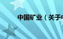 中国矿业（关于中国矿业的介绍）
