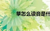 孳怎么读音是什么（孳怎么读）