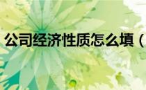 公司经济性质怎么填（公司经济性质怎么填）
