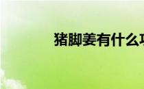 猪脚姜有什么功效（猪脚姜）