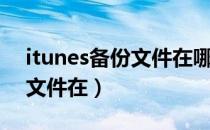 itunes备份文件在哪里找照片（itunes备份文件在）