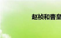 赵祯和曹皇后（赵祯）