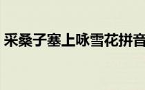 采桑子塞上咏雪花拼音（采桑子塞上咏雪花）