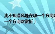 我不知道风是在哪一个方向吹修辞手法（我不知道风是在哪一个方向吹赏析）