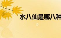 水八仙是哪八种食物（水八仙）