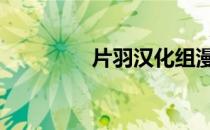 片羽汉化组漫画 片羽汉化