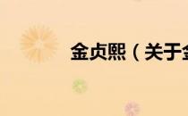 金贞熙（关于金贞熙的介绍）