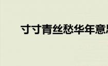 寸寸青丝愁华年意思 寸寸青丝愁华年