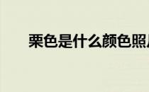 栗色是什么颜色照片 栗色是什么颜色