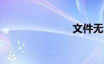 文件无法渲染