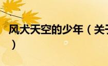 风犬天空的少年（关于风犬天空的少年的介绍）