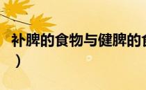 补脾的食物与健脾的食物（补脾的食物有哪些）