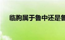 临朐属于鲁中还是鲁东 临朐属于什么市