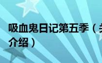 吸血鬼日记第五季（关于吸血鬼日记第五季的介绍）