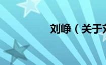 刘峥（关于刘峥的介绍）