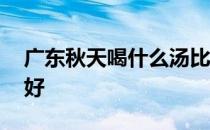 广东秋天喝什么汤比较好 广东秋天喝什么汤好