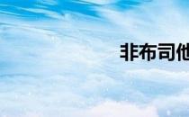 非布司他片 非布