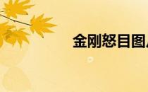 金刚怒目图片 金刚怒目