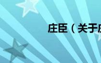 庄臣（关于庄臣的介绍）