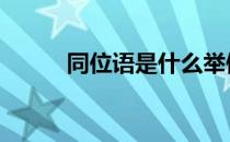 同位语是什么举例 同位语是什么