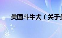 美国斗牛犬（关于美国斗牛犬的介绍）