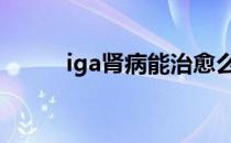 iga肾病能治愈么 iga肾病能治愈