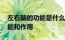 左右脑的功能是什么有哪些区别 左右脑的功能和作用