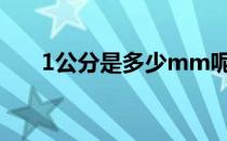 1公分是多少mm呢 1公分是多少厘米