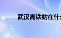 武汉高铁站在什么地方 武汉高铁