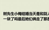 树先生小梅结婚当天是和别人一起了嘛 树先生最后和小梅在一块了吗最后她们俩走了那是真的吗