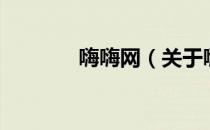 嗨嗨网（关于嗨嗨网的介绍）