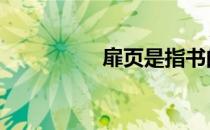 扉页是指书的哪一页 扉