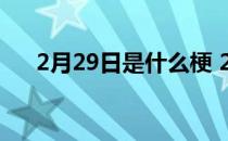 2月29日是什么梗 2月29日是什么星座