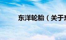 东洋轮胎（关于东洋轮胎的介绍）