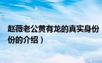 赵薇老公黄有龙的真实身份（关于赵薇老公黄有龙的真实身份的介绍）