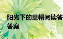 阳光下的草帽阅读答案 迎着风一顶草帽阅读答案